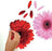 RoomMates Peel Stick Wall Decals Gerber Daisies