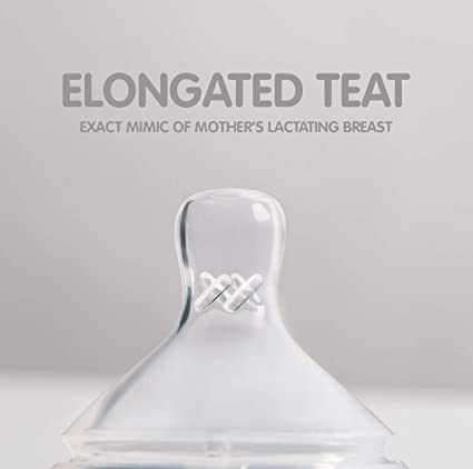 Hegen Teat Pack of 2 Fast Flow