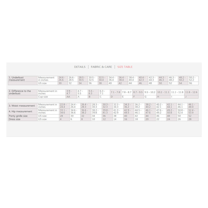 Anita Maternity Basic Brief Black