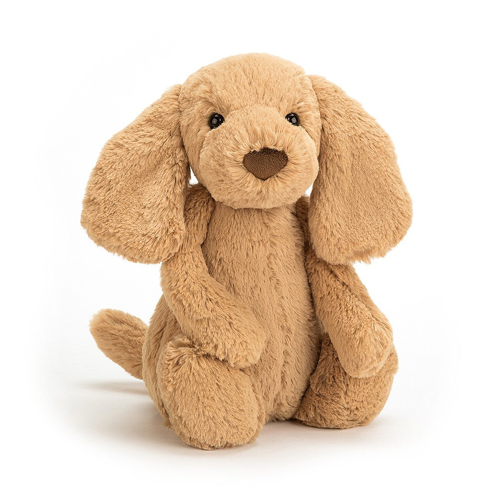 Jellycat Bashful Toffee Puppy - Medium