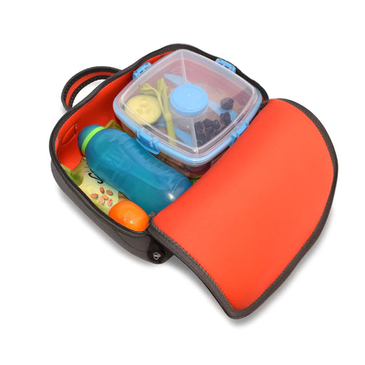 Bibetta Lunch Bag - Dinosaurs