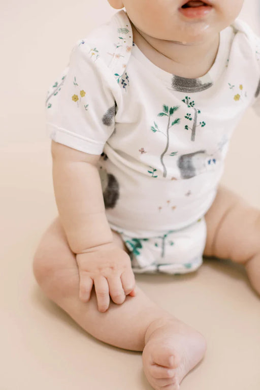 Loulou Lollipop Bodysuit - Hedgehogs