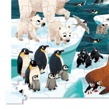 Crocodile Creek Puzzle 72pcs - Arctic Animals