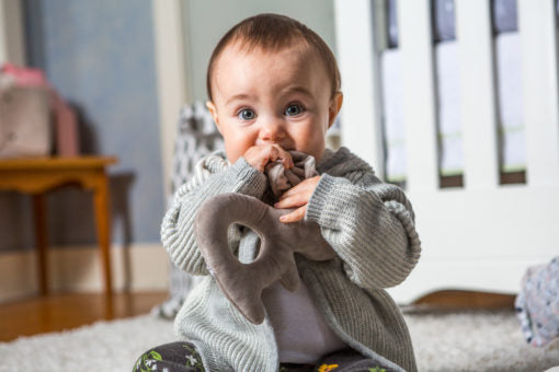 Mary Meyer Putty Nursery Rattles Bunny Assorted