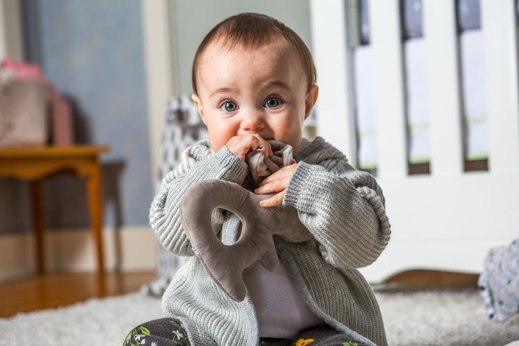 Mary Meyer Putty Nursery Rattles Bunny Assorted
