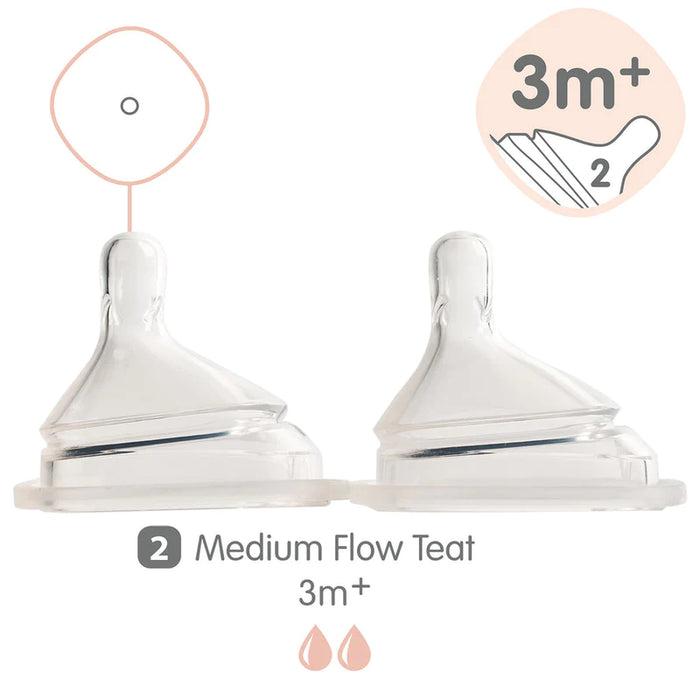 Hegen Teat Pack of 2 Medium Flow