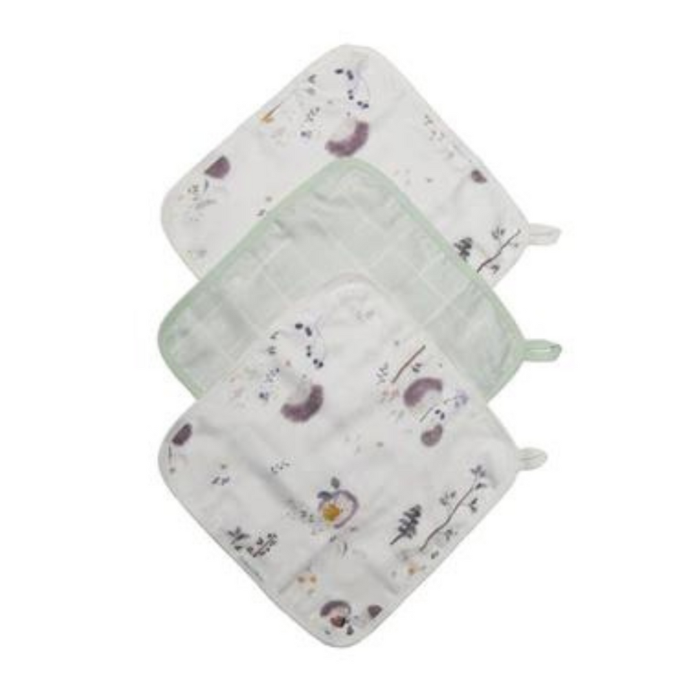 Loulou Lollipop Washcloth 3pk - Hedgehogs