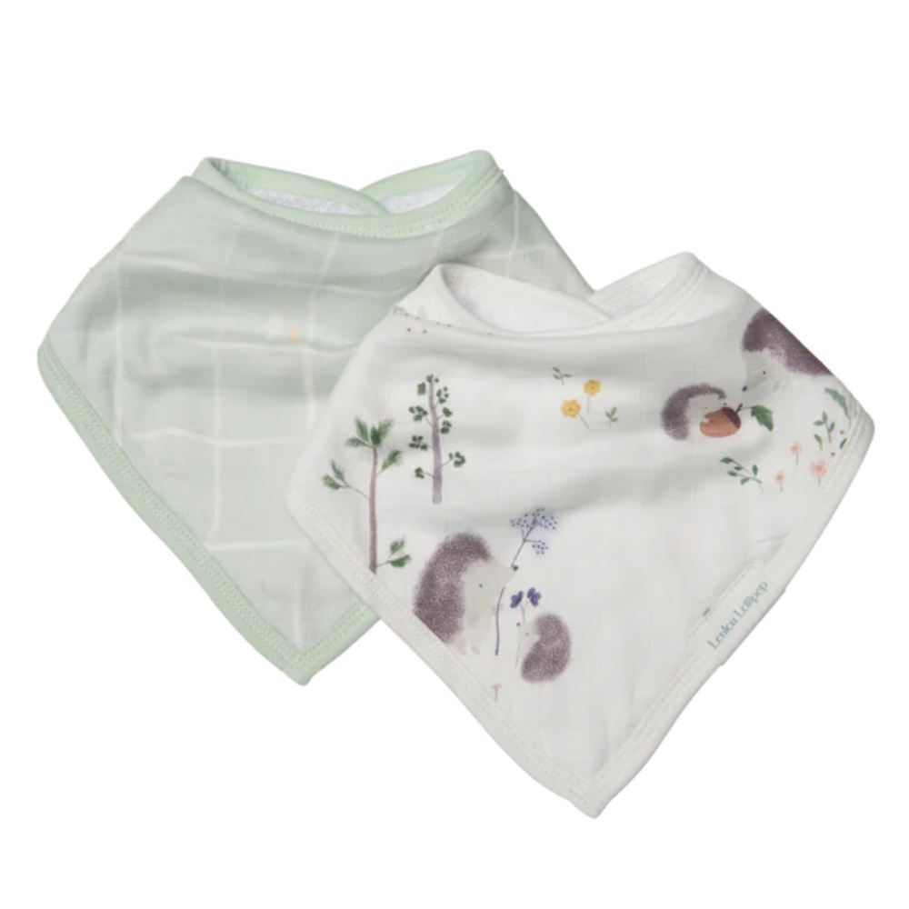 LouLou Lollipop Bandana Bib Set - Hedgehogs