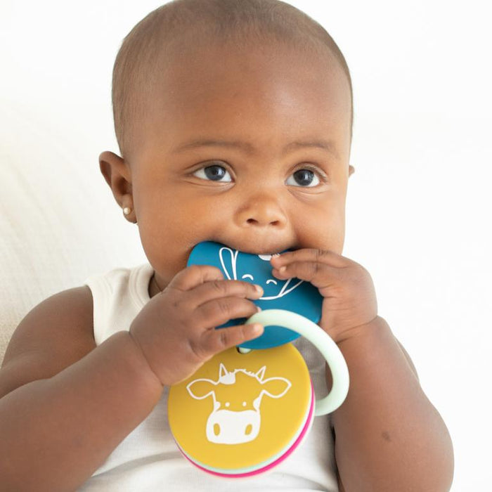 Bella Tunno Teething Flashcards Party Animals TFC01