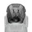 Veer Comfort Seat for Toddlers