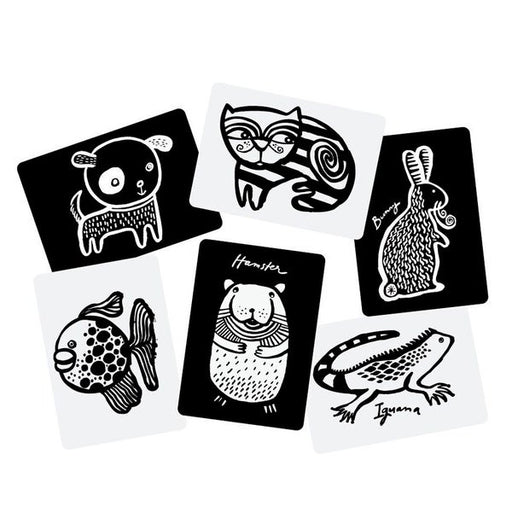 Wee Gallery Art Cards for Baby Pets WG108