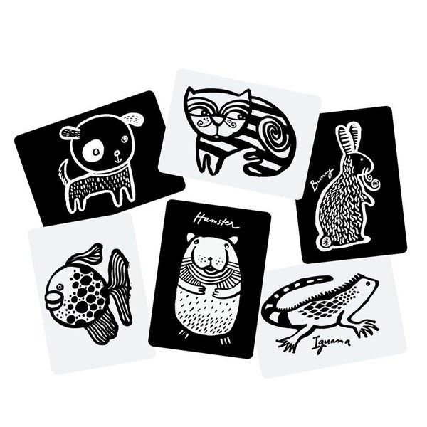 Wee Gallery Art Cards for Baby Pets WG108