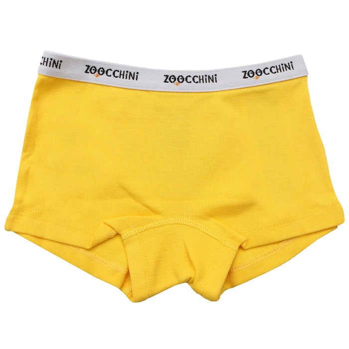 Zoocchini Kids Organic Hipster Shorts 3pc Set - Flower Power