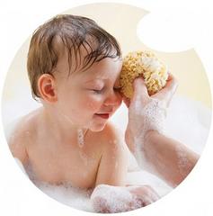 Bellini Natural Sea Sponge Honeycomb Small