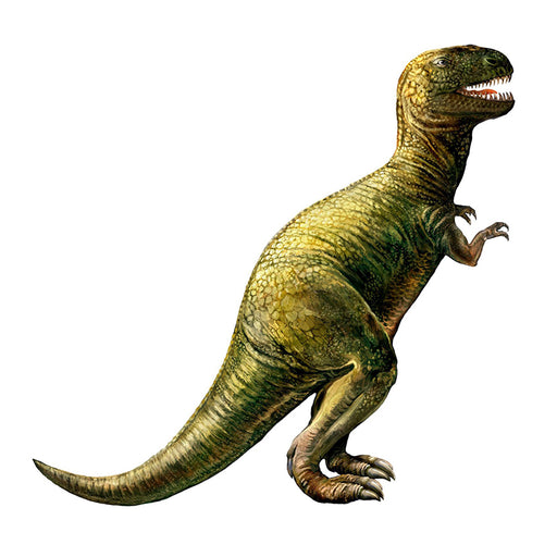 Candice Olson Kids Dinosaur Giant Wall Decals - CanaBee Baby