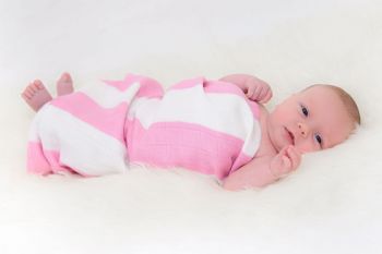The Great Swandoodle Multi Use Bamboo Muslin - Amore Rose