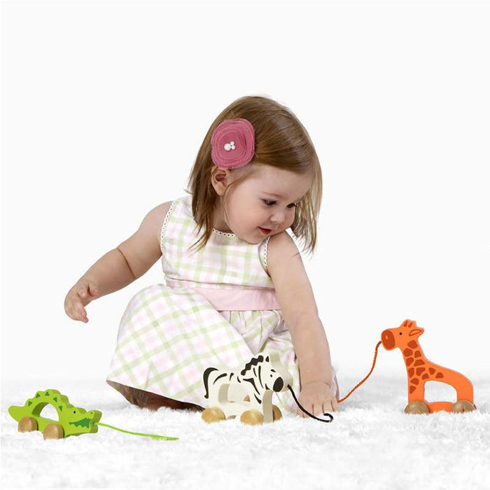 Hape Push Pull Giraffe - CanaBee Baby