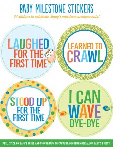 Peter Pauper Press INC. Baby Milestone Stickers (1404)