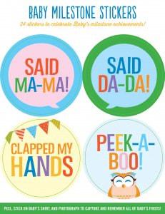Peter Pauper Press INC. Baby Milestone Stickers (1404)
