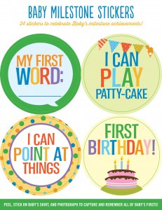 Peter Pauper Press INC. Baby Milestone Stickers (1404)