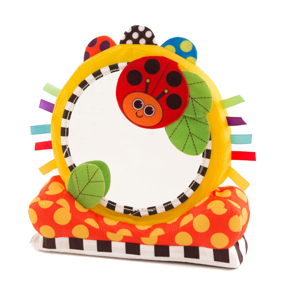 Sassy Who is the Mirror Floor Mirror