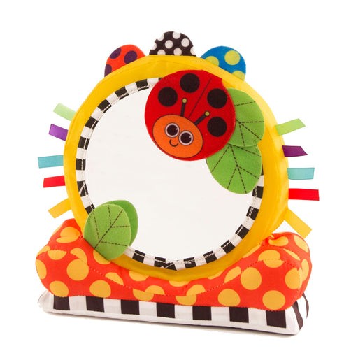 Sassy Who is the Mirror Floor Mirror