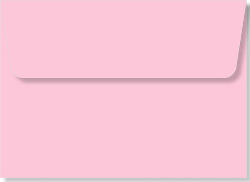 Peter Pauper Press Inc. Baby Steps Thank You Notes - Pink