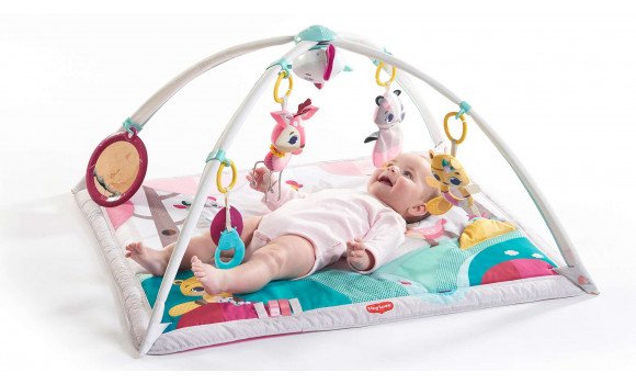 Tiny Love Tiny Princess Tales Gymini Deluxe