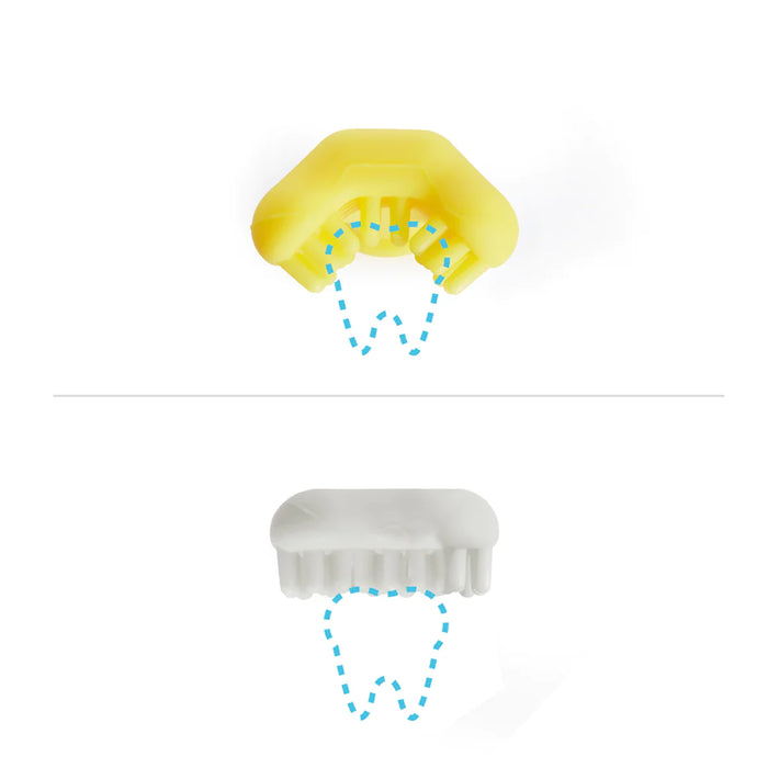 Fridababy Grow-With-Me Training Toothbrush Set